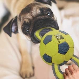 ALL FOR PAWS Ballistic Handle Ball Dog Toy with Squeaker, Interactive Handle Tug of War Ball Toy for Small Medium Large Dogs (Receive one of the Three Colors)