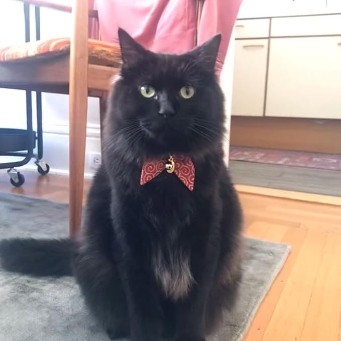 Bunny Ears Cat Collar, Japan Lucky ‘開三運’ Charm. Safety Breakaway Bowtie Kitten Collar with Bell, Red
