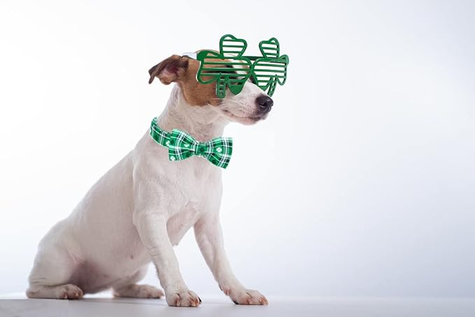 Lionet Paws St Patricks Day Dog Collar with Bowtie, Irish Green Shamrock Clover Bowtie Collar with Metal Buckle for Dogs and Cats Girl Boy ,XXS, Neck 7-11 in