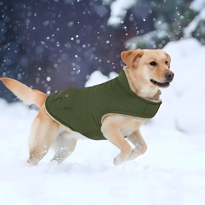 ASENKU Warm Dog Winter Coat, Waterproof Dog Coat for Cold Weather, Fleece Dogs Jacket with Ultra Thick Plush Lining Leash Hole Storage Pockets for Large Dogs (Green, X-Large)