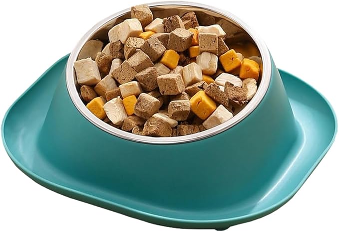 No Spill Cat Bowl Ant Proof Cat Dish for Kitten Pet Dog Small Animals Orange S