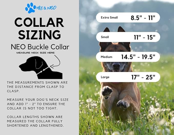 Max and Neo Patterned NEO Dog Collar - We Donate a Collar to a Dog Rescue for Every Collar Sold (Small, Bees)