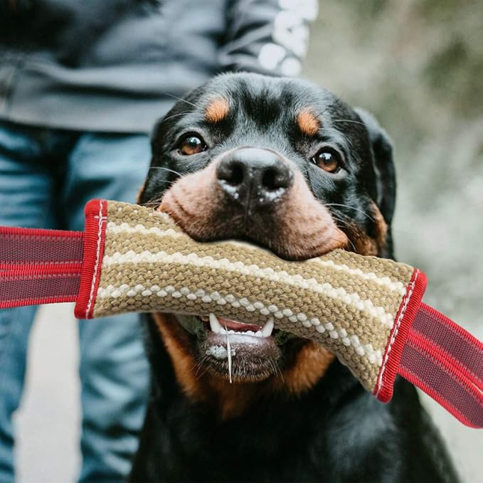 Storystore Dog Tug Toy Dog Training Bite Pillow Jute Bite Toy - Best for Tug of War, Puppy Training Interactive Play - Interactive Toys for Small and Medium Dogs