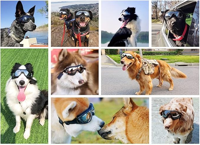 Dog Sunglasses Dog Goggles,UV Protection Wind Protection Dust Protection Snow Protection Fog Protection Pet Glasses Eye Wear Protection with Adjustable Strap for Medium or Large Dog