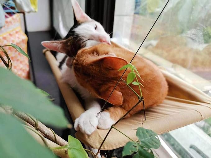 Cat Window Perch,Cat Hammock Window Seat Bed Space Saving Design 360° Sunbath Holds Up to 50lbs for Any Cats Size