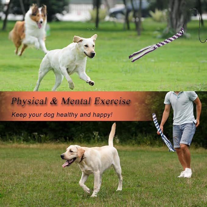 Flirt Pole for Dogs, Interactive Dog Toys for Dog Chase and Tug of War, Dog Teaser Wand with 3 Fleece Rope Chew Toy, Pet Flirt Stick Pole for Small Medium Large Dogs Training Exercise