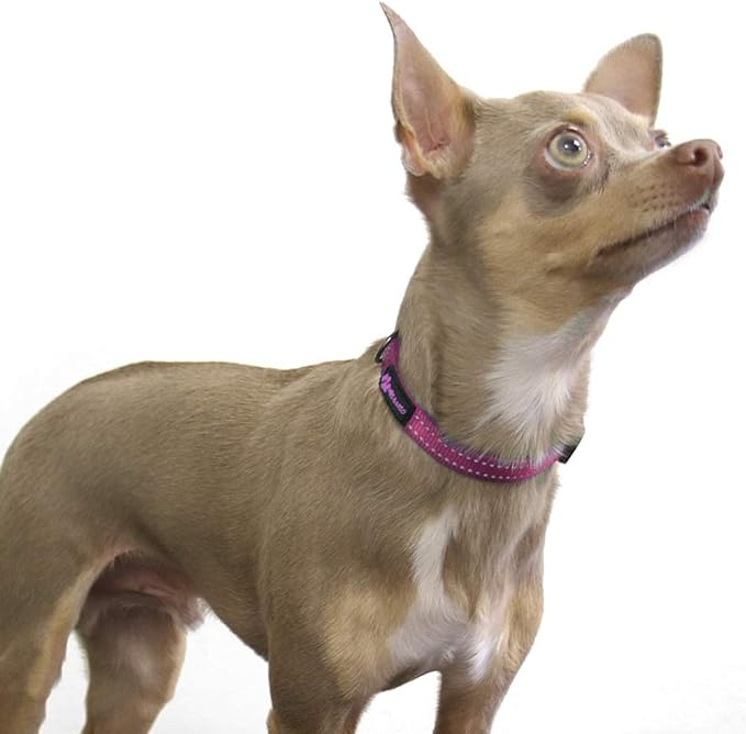 Max and Neo™ NEO Nylon Buckle Reflective Dog Collar - We Donate a Collar to a Dog Rescue for Every Collar Sold (X-Small, Pink)