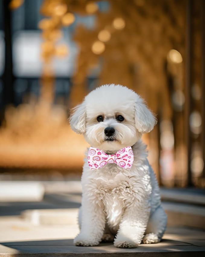 PET SHOW 10 Pack Small Dog Bow Ties Sliding Collar Attachments Puppy Cats Daily Bowties for Medium Dogs Multiple Styles Cute Summer Bowknots Wedding Party Holiday Pet Grooming Accessories(Small)