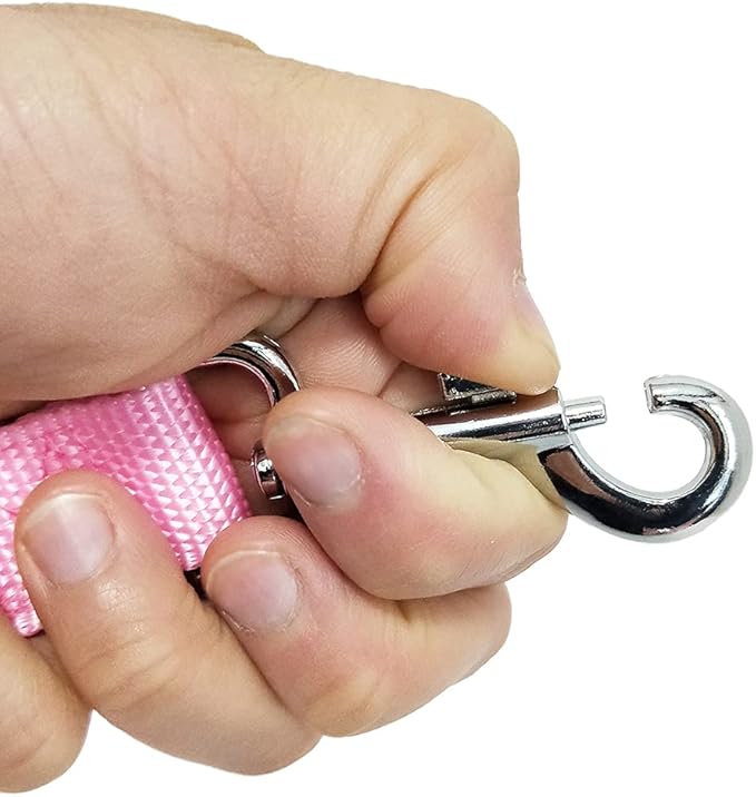 Nylon Dog Training Leash, Traction Rope, 4Ft /5 Foot /6 Feet Long, 5/8 inch 3/4 Inch 1 Inch Wide, for Small and Medium Dogs