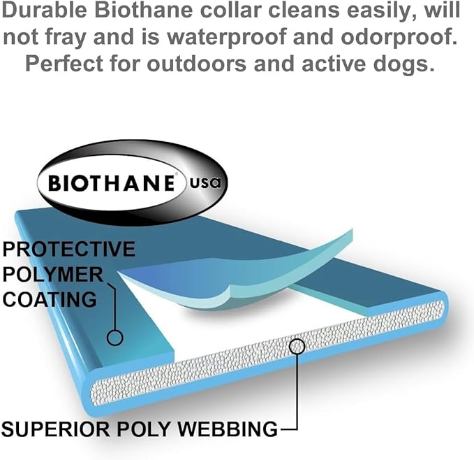 E-Collar Mini Educator ET-300 Remote Dog Training Collar – 1/2 Mile Range, Waterproof & Rechargeable, 100 Levels + Vibration + Tone + Light, For 1 Dog Small to Medium, Zen
