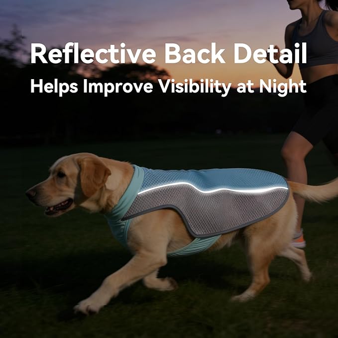 Dog Cooling Vest, Summer Cooler Jacket for Small & Medium Dogs Soft Breathable Mesh Lightweight Pet Shirt for Beach Hiking Walking (Blue,L)