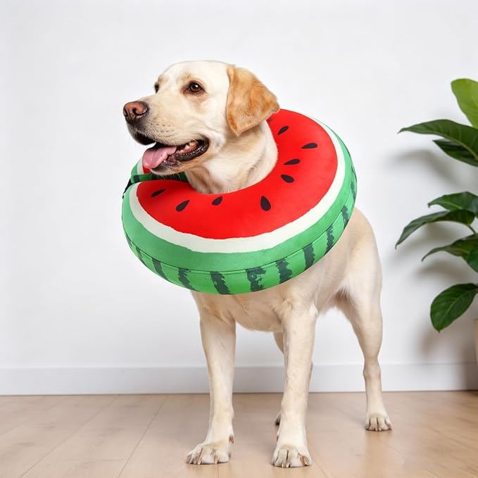 SCENEREAL Dog Cone Alternative After Surgery Donut Collar, Soft Pet Recovery Pillow Collar for Medium Large Dogs, Inflatable Adjustable Neck Collars to Prevent Licking, Watermelon XL