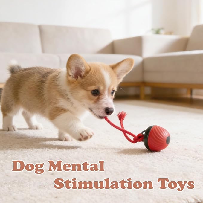 Power Tail 2.0 Pet Toy, Motion Activated Interactive Dog & Cat Toy - Squeaky Active Rolling Ball with Flashing Colorful Lights, Smart Jumping Ball for Small & Medium Pets