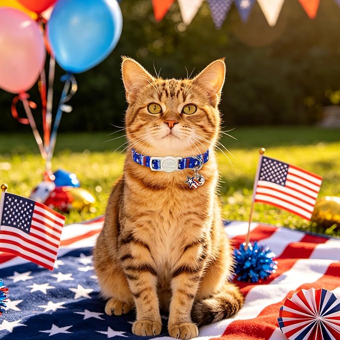 2 Pack 4th of July Cat Collars - Blue Stars & Stripes and Patriotic Popsicle Breakaway Cat Collars, Adjustable Soft Boy Girl Kitten Collar for Small Dogs Puppy with Bell & Pendant