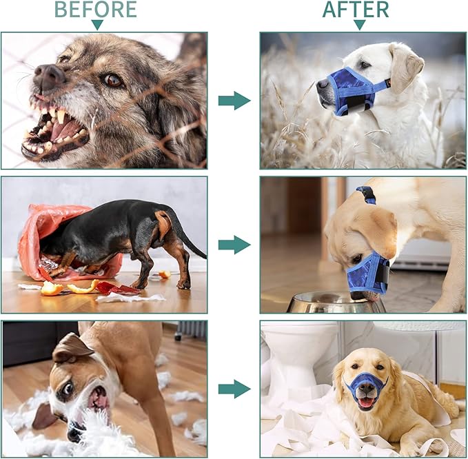 HEELE Dog Muzzle,Soft Nylon Muzzle Anti Biting Barking Chewing,Air Mesh Breathable Drinkable Adjustable Loop Pets Muzzle for Small Medium Large Dogs 4 Colors 4 Sizes (P-Sky Blue, L)
