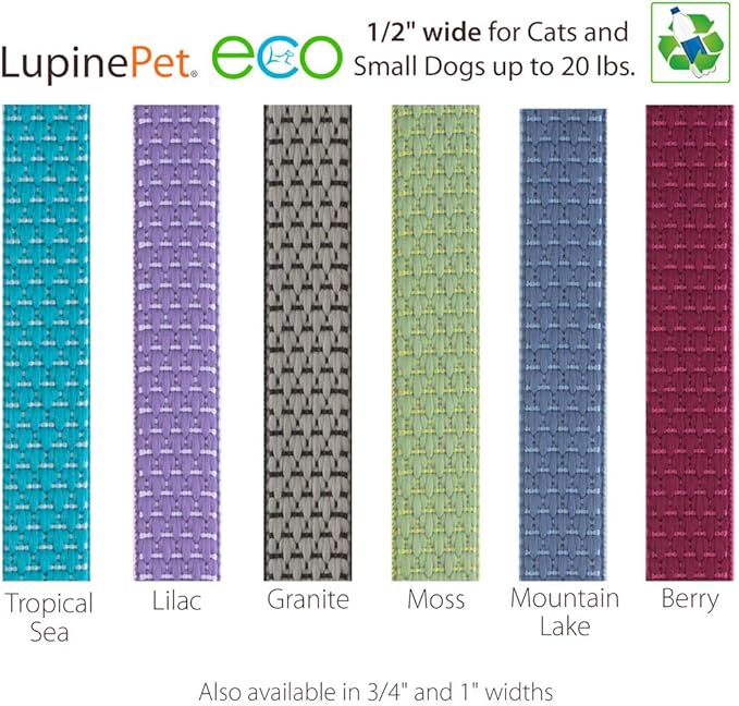 LUPINEPET Polyester ECO Breakaway Buckle Safety CAT Collar, ONE Size: 8-12 in Neck, 1/2-IN Wide, Moss