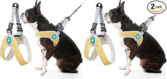 Gooby Simple Step in III Harness - Yellow, Large - Small Dog Harness with Scratch Resistant Outer Vest - Soft Inner Mesh Harness for Small, Medium Dogs (Pack of 2)