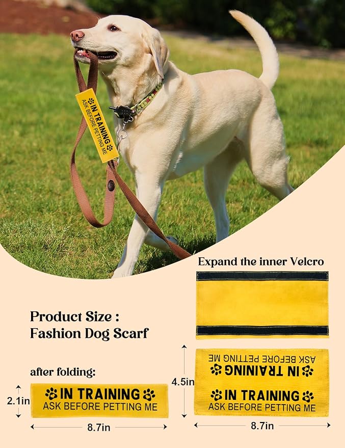 in Training Dog Leash Sleeve - Funny Yellow Alert Wrap with Hanging ID Patch | Ask Before Petting Service Dog Accessory, Perfect Pet Birthday Gift for Dog Owners