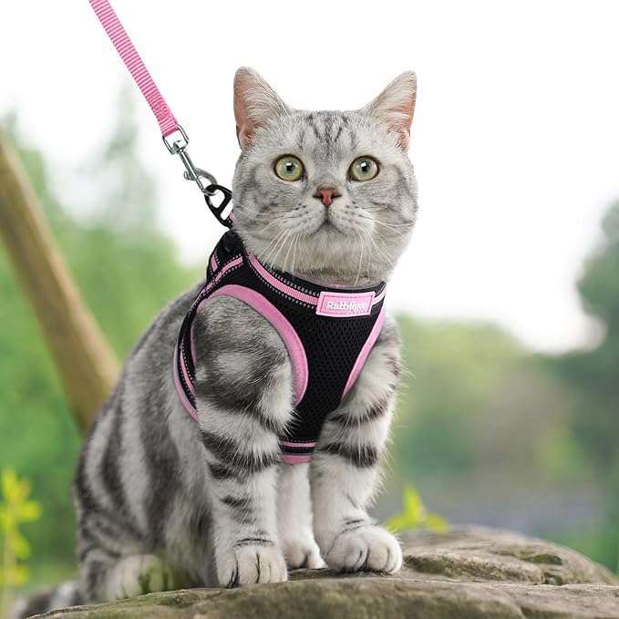 rabbitgoo Cat Harness and Leash, Step-in Escape Proof Kitten Harness Set, Soft Comfortable Cat Vest, Easy to Wear and Adjust, Reflective for Safe Outdoor Walking, Black&Pink, Medium