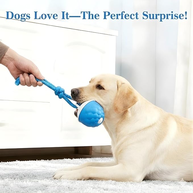 Moving Dog Toy with Rope – Smart Motion Activated Interactive Dog Ball for Small Dogs, 3 Speed Modes, USB Rechargeable Durable Interactive Puppy Toys & Dog Interactive Toys