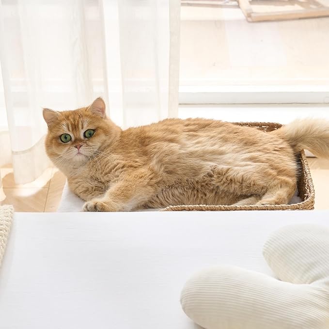 SHENGOCASE 2-Pack Foldable Bedside Pet Bed with Washable Cushion Pillow, Handwoven Guardrail Cat Small Dog Bed