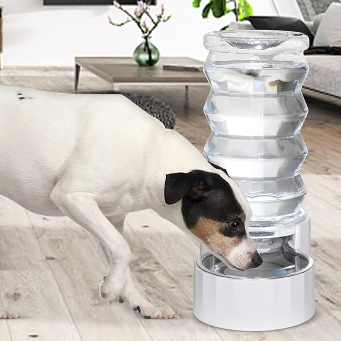 RIZZARI 8L Stainless Steel Gravity Pet Water Dispenser – Auto-Refill Waterer with Filtered Hydration Design for Dogs & Cats, Fresher Daily Drinking for Multi-Pet Homes & Indoor Spaces
