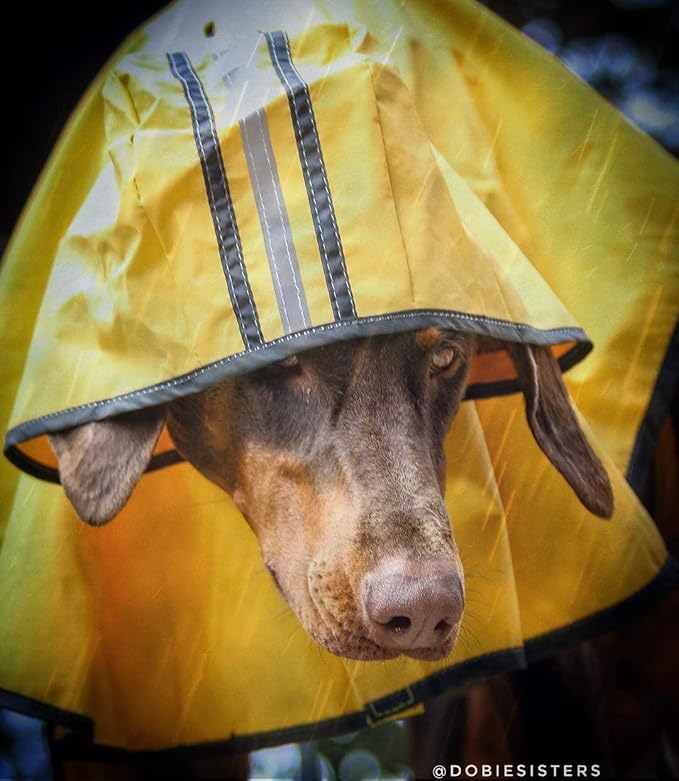 SPOT Rainy Days Slicker - Yellow Dog Rain Jacket With Hood, Reflective Strip for Safety, Leash Hole & Adjustable Velcro Belly Strap, 100% Polyester Water Resistant Pet Raincoat - X-Large, 21in Long