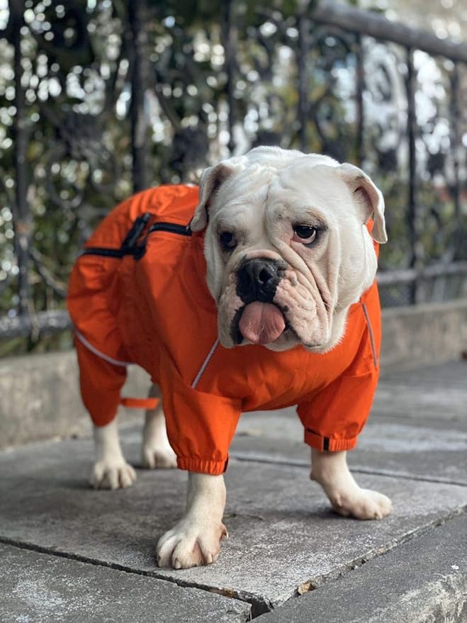 Lovelonglong Waterproof Dog Raincoat – 4-Leg Full Body Dog Rain Suit with Reflective Strips & Leash Opening, Outdoor Dog Jacket for Rainy Weather