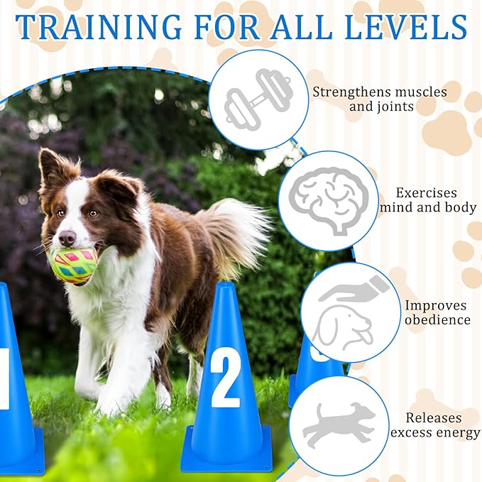 12 Inch Dog Agility Hurdle Cone Set with 10 Blue Training Cones 2 Number Stickers Distance Adjustable Dog Agility Course Backyard Equipment for Pet Obstacle Course for Obedience Rehabilitation Starter
