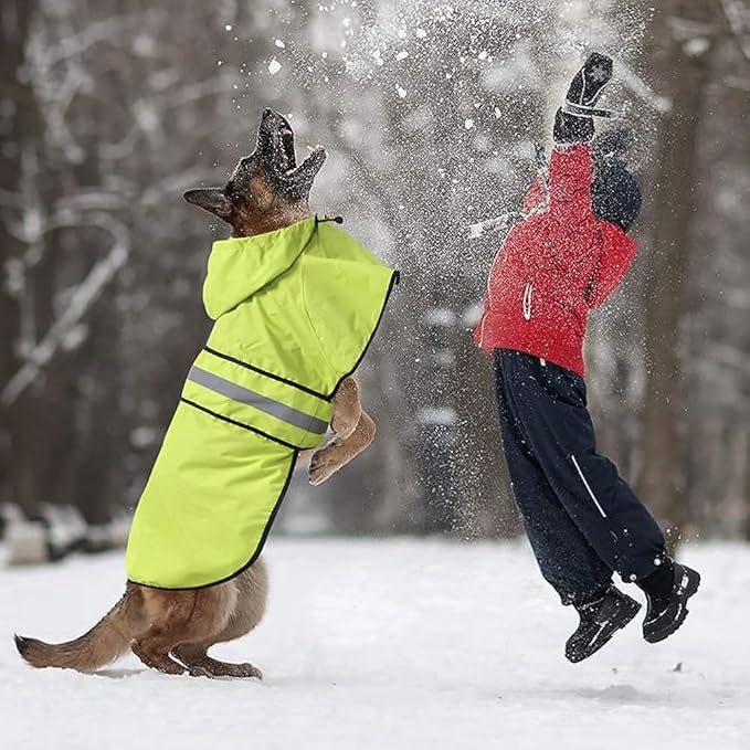 Waterproof Dog Rain Coat - Adjustable Hooded Pet Rain Jacket Raincoat, Reflective Lightweight Dog Slicker Poncho Raincoats (Neon Green, Medium)