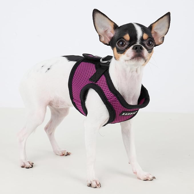 PUPPIA International PUAH305PU3L Soft Vest Harness, 3X-Large