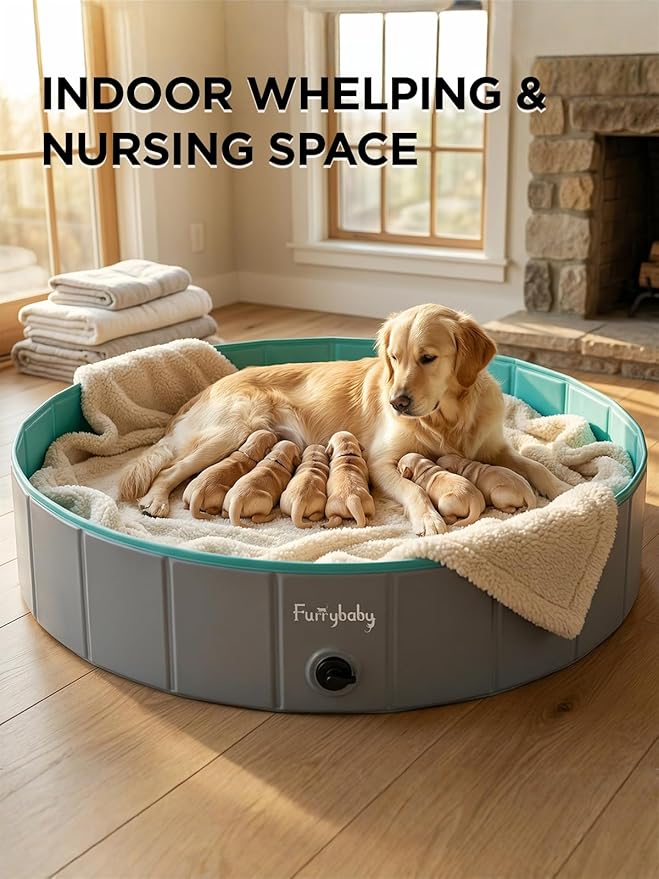 Foldable Dog Pool for Large Dogs, Hard Plastic Kiddie Pool for Dogs, 63" Collapsible Dog Pool with Rigid PP Core, Non-Slip PVC, Durable Pet Bath Tub for Indoor/Outdoor Backyard, Grey