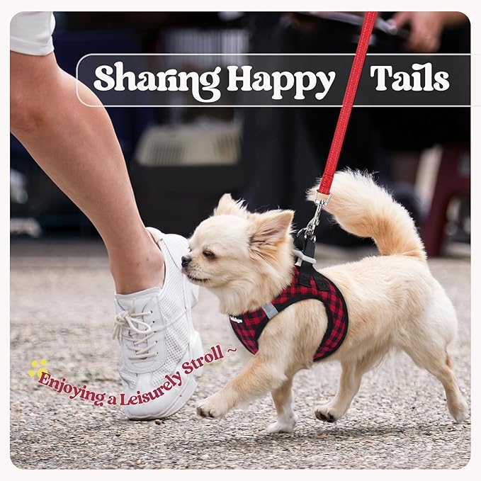 rabbitgoo Dog Harness Small Medium Sized and Leash Set, Step in Soft Light Puppy Vest, Breathable Mesh Pet Harness, Reflective for Safe Easy Walking, Red Check L