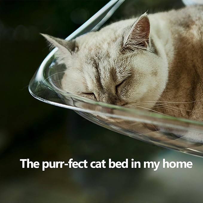 Window Perch Cat Bed - Easy-to-Install, Safe, and Comfortable Hanging Cat Bed for Windows and Smooth Tile Walls (Transparent, M)