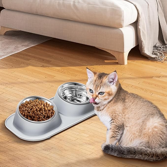 Ant Away Stainless Steel Elevated Cat Bowls with Stand - Tilted Anti Vomiting, Double Food and Water Bowl Set (Grey, 16 Oz)