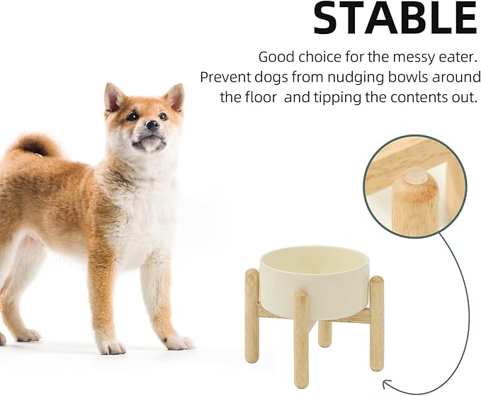 Havniva 6.1inch Ceramic Raised Dog Bowl with Stand, Elevated Dog Bowls for Small and Medium Breed Dog Food and Water Bowl Non-Slip Dog Dish Large Capacity Feeding Pet Water Bowl