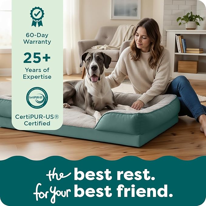 FurHaven Cooling Gel Dog Bed for Large Dogs, Perfect Comfort Sofa Bed, Cool Gel-Top & Orthopedic Foam Base for Joint Support, Removable Washable Cover, Jumbo Plus XXL, Plush & Velvet, Celadon Green