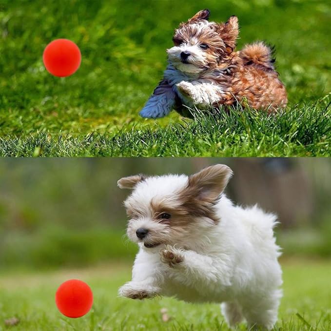 Volacopets Puppy Balls - Pack with Different Functions & Teething Toys for Small Dogs, Squeaky Dog Balls, Rubber Chew Toys for Enrichment