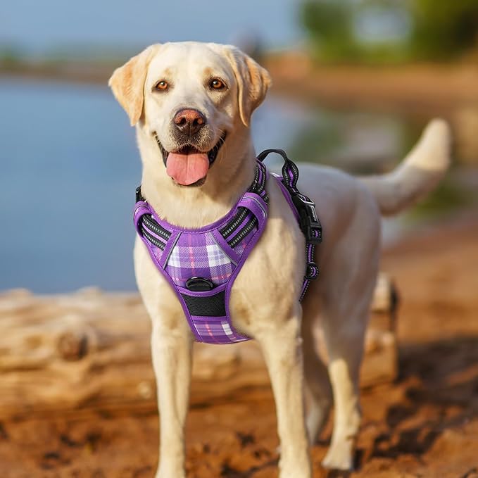 rabbitgoo Dog Harness No Pull with 2 Leash Clips, Adjustable Soft Padded, Reflective Oxford No Choke Pet Vest with Easy Control Handle for Medium Sized Dogs, Purple Plaid, M