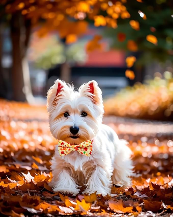 PET SHOW 10 Pack Thanksgiving Small Dog Bow Ties Sliding Collar Attachments Puppy Cats Pumpkin Turkey Patterns Bowties for Medium Dogs Fall Bowknots Party Holiday Pet Grooming Accessories(Small)