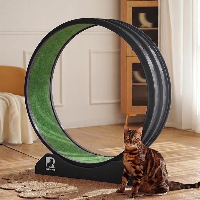Cat Exercise Wheel, 47.2 Inch Indoor Treadmill for Cats with Carpeted Runway, Screw-Fixed Assembly for Easy Setup, Silent & Safe Fitness Equipment for Most Cats