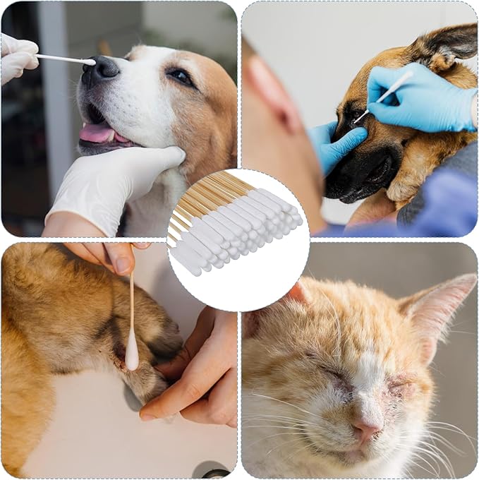 InnoHHustle 100 Pcs 6 Inch Long Cotton Swab for Dogs Ears Double Sided Qtips Dog Ear Swabs Large Wooden Cleaner Buds Tool Pet Ear Cleaning Solution Supplies for Dogs and Cats