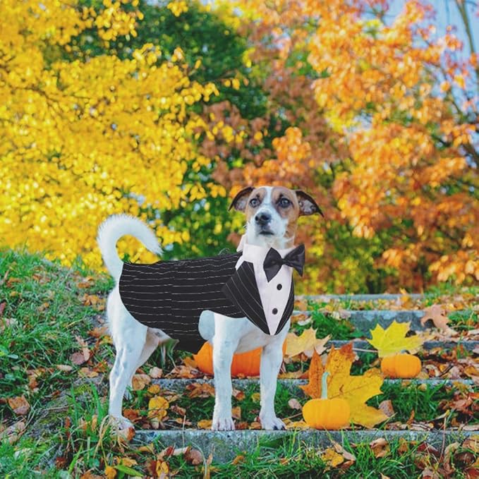 QBLEEV Dog Tuxedo Suit with Bow Tie, Formal Dog Tux Costume and Bandana Set for Wedding Outfit Birthday Party Cosplay Photo Shoot, Doggy Prince Attire for Chihuahua Yorkie Shih Tzu Pomeranian