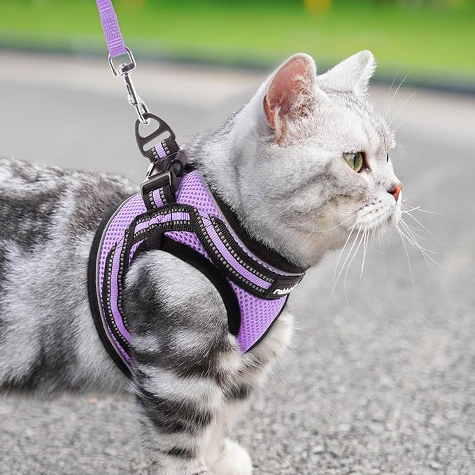 rabbitgoo Cat Harness and Leash, Step-in Escape Proof Kitten Harness Set, Soft Comfortable Cat Vest, Easy to Wear and Adjust, Reflective for Safe Outdoor Walking, Light Purple, Large