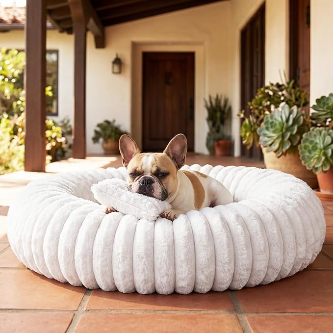 Donut Pet Bed for Indoor Cats and Small Dogs, Self-Heating Dog Bed with Non-Slip Bottom, Winter Comfort Dog Beds for Puppies, Washable & Portable Egg Tart Shape (S) Small cat Bed self Warming