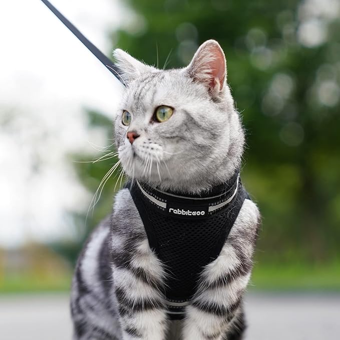 rabbitgoo Cat Harness and Leash, Step-in Escape Proof Kitten Harness Set, Soft Comfortable Cat Vest, Easy to Wear and Adjust, Reflective for Safe Outdoor Walking, Black, Medium