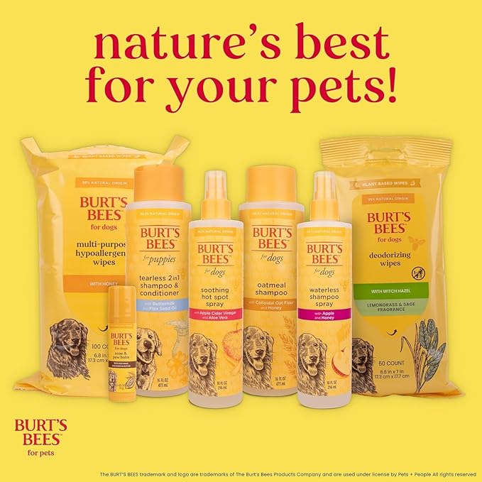 BURT'S BEES FOR PETS Ear Cleaner for Dogs with Pepeprmint and Witch Hazel, 99.7% Natural Origin Formulas, Dog Ear Cleaner, Ear Cleaning Solution for Dogs, 4 oz