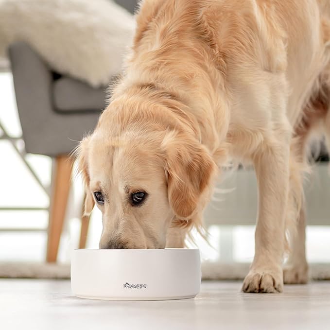 Ceramic Dog Bowl | 5.5inch Dog Bowl, Spill Proof, Non-Slip Pet Feeding Bowl for Small & Medium Breed(16 oz) (Beige, 5.5-8inch)