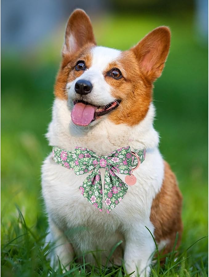 St. Patrick's Day Dog Collar with Bow Tie, Lucky Shamrock Bowtie Collar Adjustable for Girl Boy Dog, Trefoil Dog Collar Durable, Spring Green Collar for Dogs, S