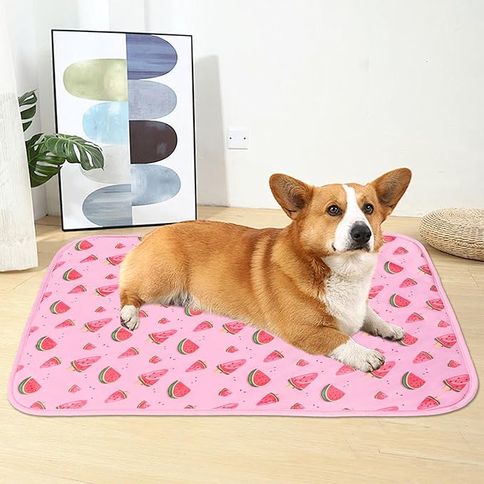 DELIFUR Cat Cooling Mat- Pet Cooling Mat Outdoor for Dogs Ice Pad for Kitten Cat Puppy Machine Washable (Medium, Pink Watermelon)